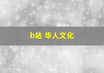 b站 华人文化